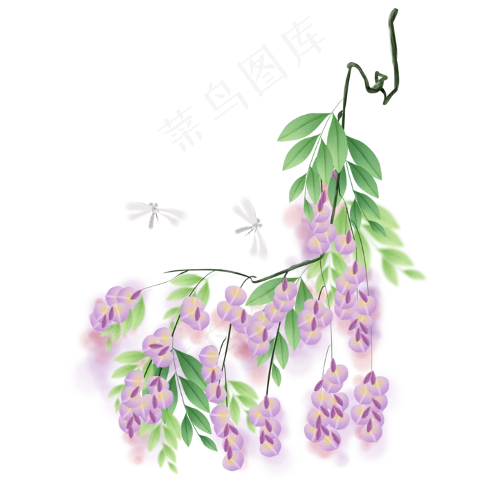 紫藤萝和蜻蜓(2000X2000(DPI:299))psd模版下载