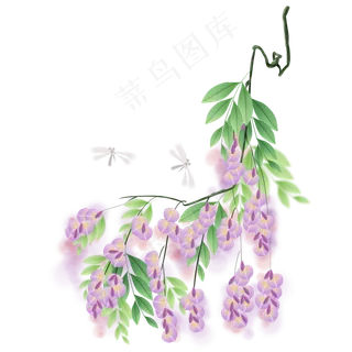 紫藤萝和蜻蜓