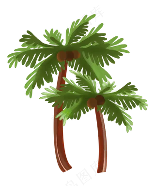 绿植椰树叶子植物