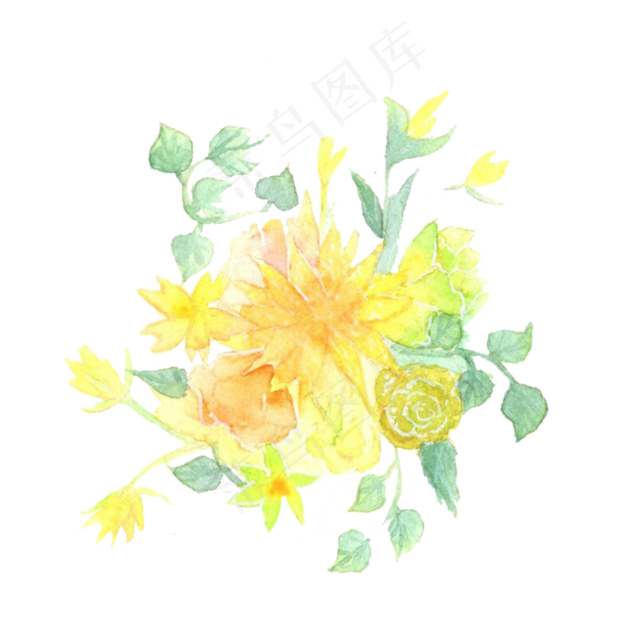 花卉水彩黄色活力PNG菊花雏菊,免抠元素(2000X2000(DPI:200))psd模版下载