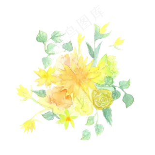 花卉水彩黄色活力PNG菊花雏菊,免抠元素