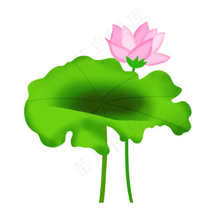 一朵粉色荷花插图