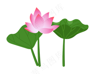 卡通荷叶鲜花荷花