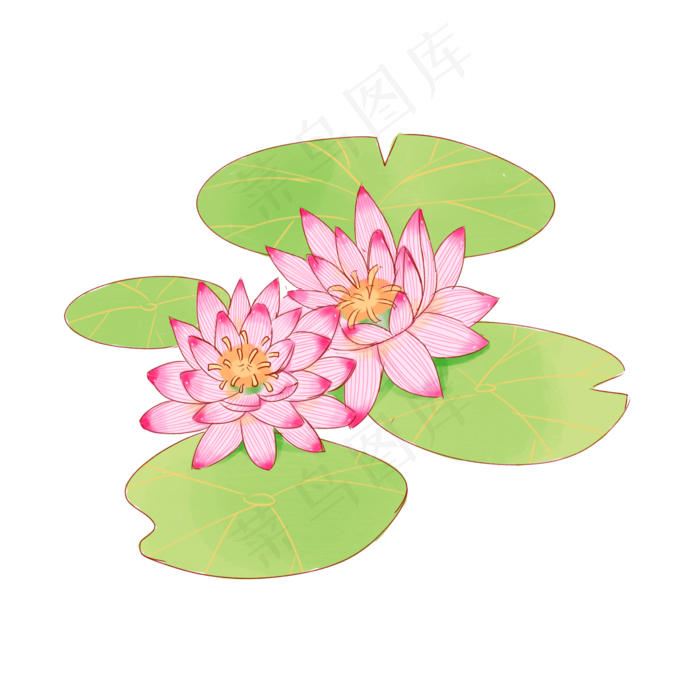 中国风之水彩手绘荷花插画