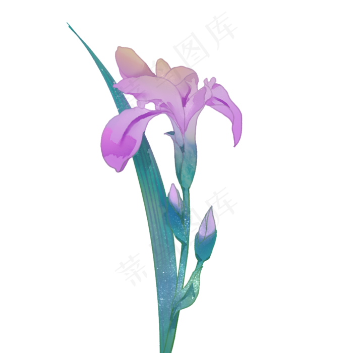中国古风手绘鸢尾(1000X1000(DPI:300))psd模版下载