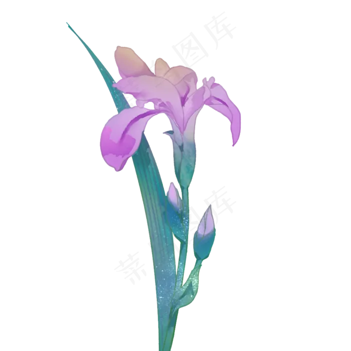 中国古风手绘鸢尾(1000X1000(DPI:300))psd模版下载