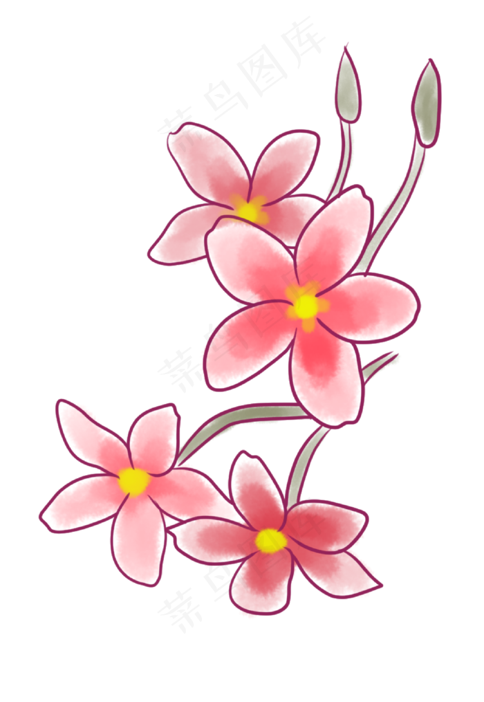 春天植物花枝插画