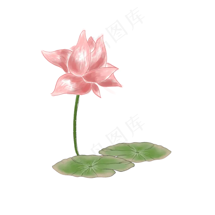 中国风莲蓬荷叶荷花(2048X2048(DPI:132))psd模版下载