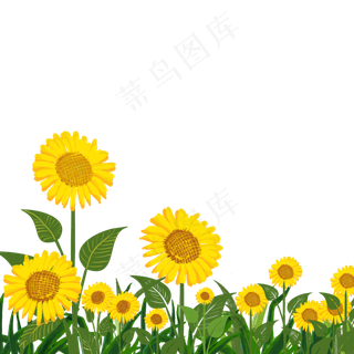 太阳花丛,免抠元素