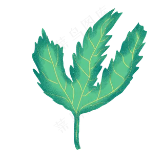 端午节装饰艾草