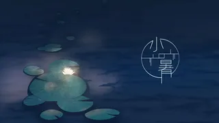 夜晚夏季小暑夜色中的荷花