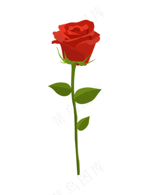 情人节玫瑰花单支玫瑰