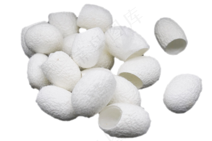 白色椭圆形蚕茧,免抠元素