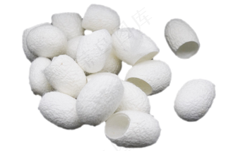 白色椭圆形蚕茧,免抠元素