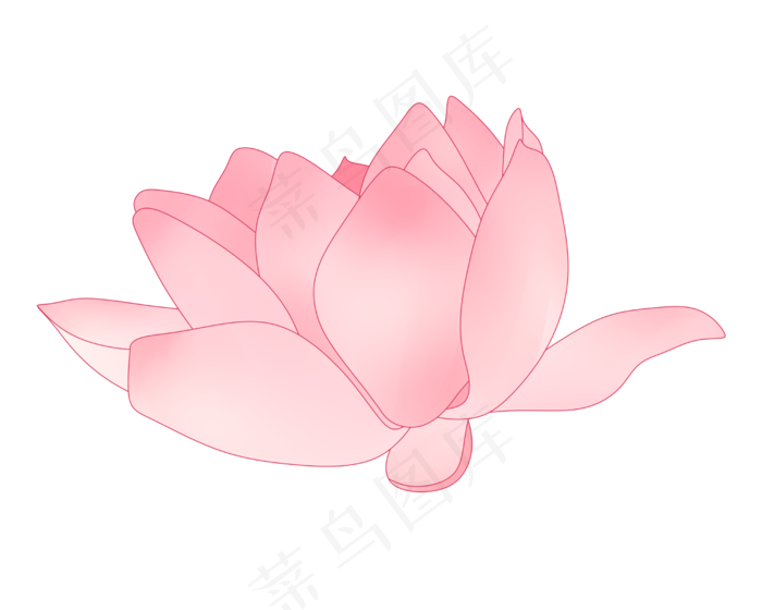 漂亮的红色荷花插图(2500X2000(DPI:299))psd模版下载