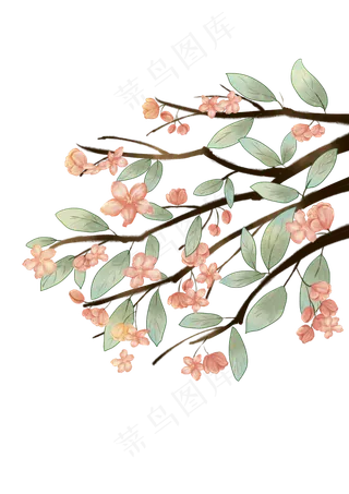 手绘古风花朵树叶