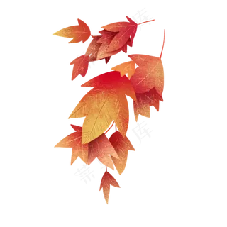 立秋手绘红枫叶图案,免抠元素