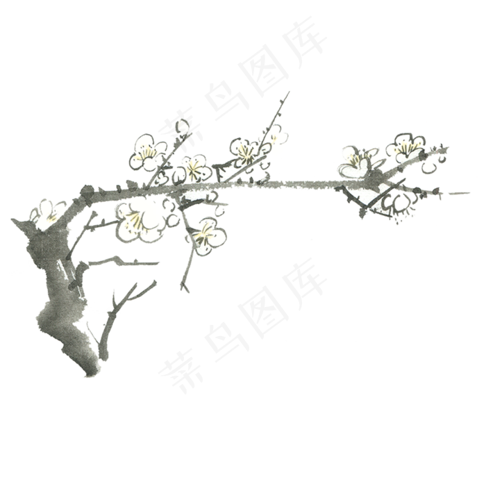 黑色古风梅花植物