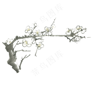 黑色古风梅花植物