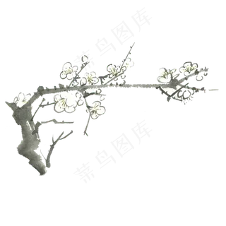 黑色古风梅花植物