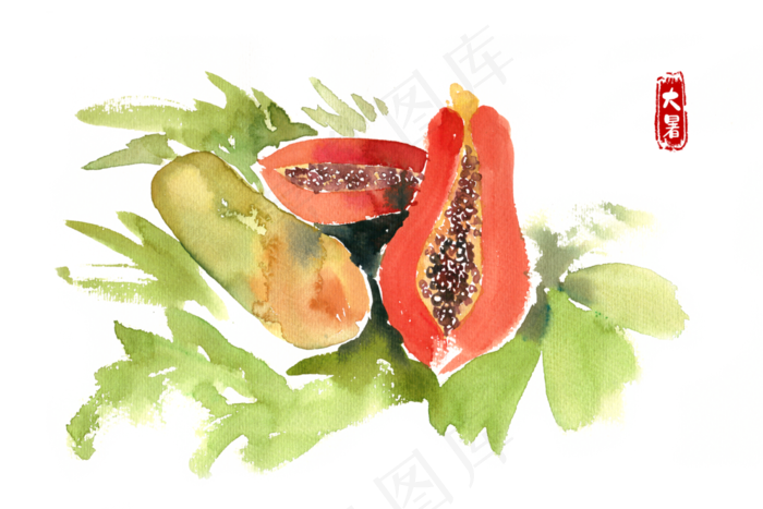 大暑切开的甜瓜