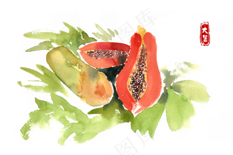 大暑切开的甜瓜