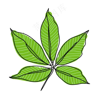 卡通绿色的叶子矢量素材