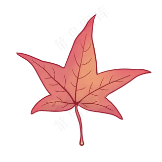 一片红色的枫树叶子