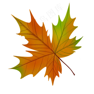 手绘水彩叶子绿色植物枫叶