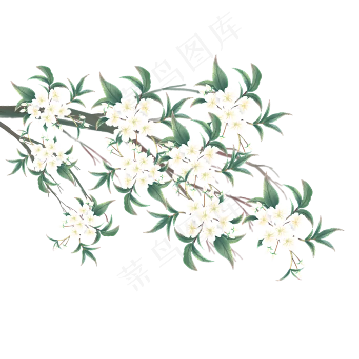 中国风工笔花卉(2000X2000(DPI:96))psd模版下载