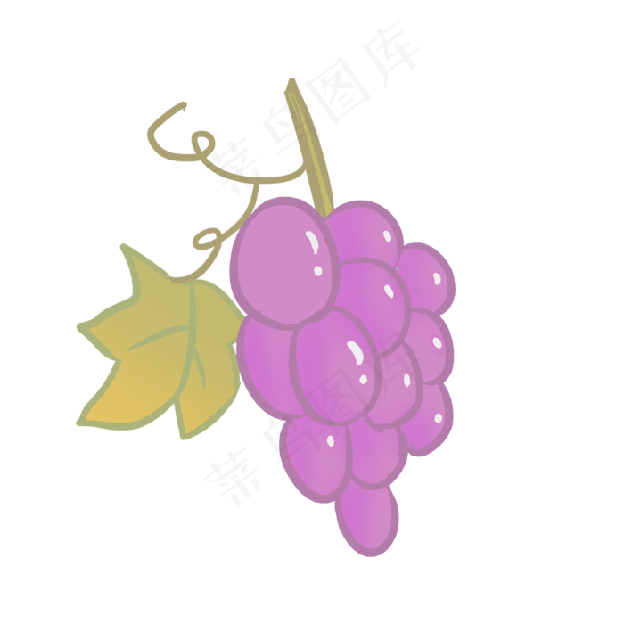 成熟大粒巨玫瑰葡萄