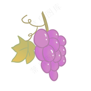 成熟大粒巨玫瑰葡萄