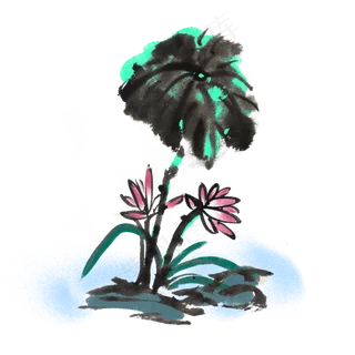 荷花荷叶水墨手绘风