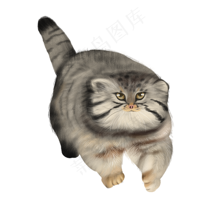 可爱纯种猫宠物主子,免抠元素(3000*3000px 300 dpi )psd模版下载