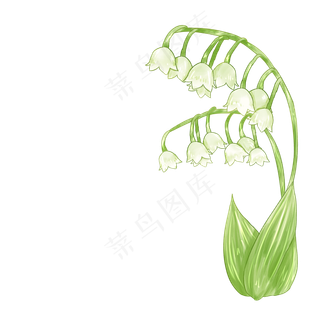 手绘清新漂亮铃兰花