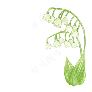 手绘清新漂亮铃兰花