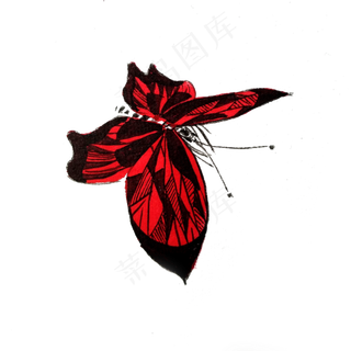 蝴蝶红色线条黑红翅膀PNG,免抠元素