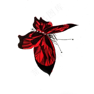 蝴蝶红色线条黑红翅膀PNG,免抠元素