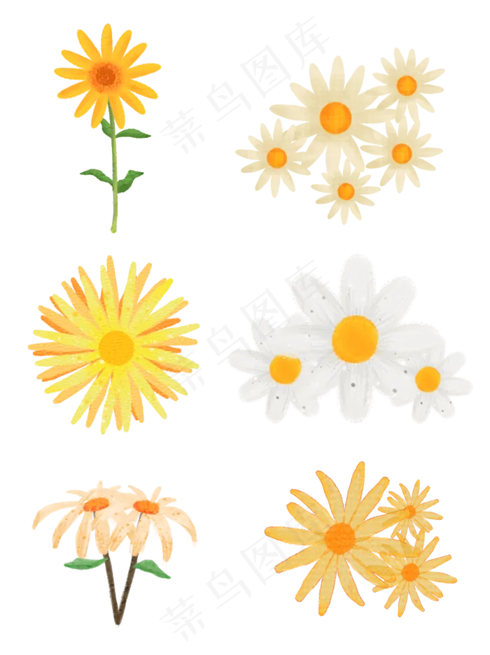 手绘小清新菊花素材元素(1024X1369(DPI:300))psd模版下载