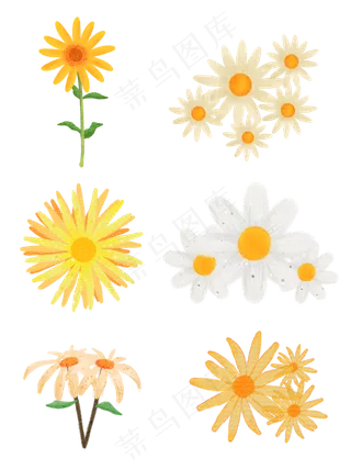 手绘小清新菊花素材元素