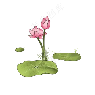 简约荷花荷叶