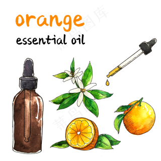 花草水果精油柑桔柠檬草本