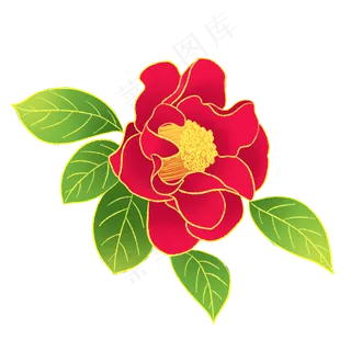 新中式国潮风植物山茶花