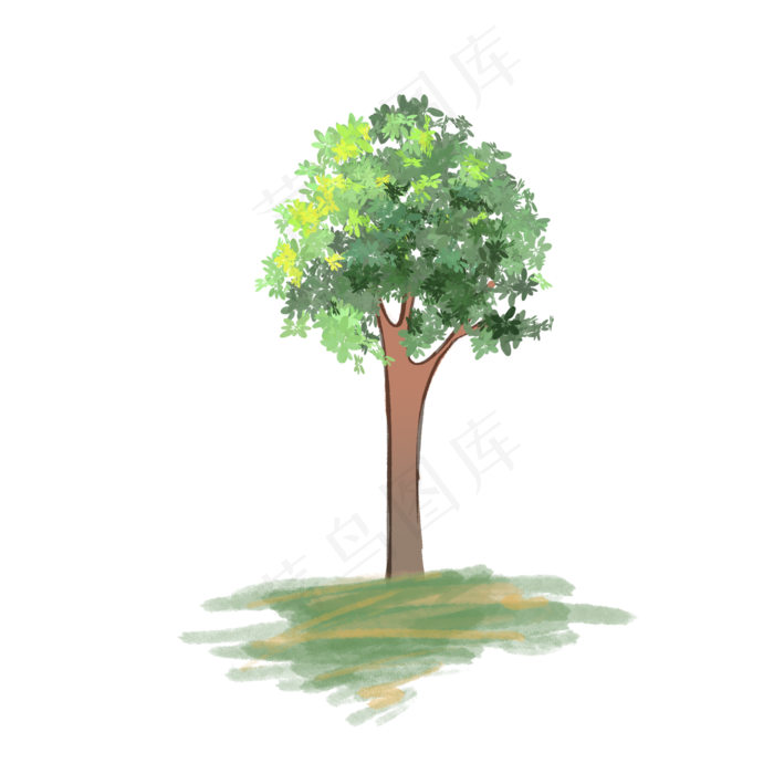 阳光大自然春天树木