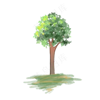 阳光大自然春天树木