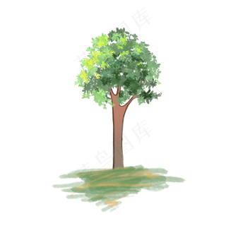 阳光大自然春天树木