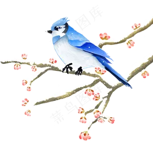冬至雪花鸟树枝,免抠元素