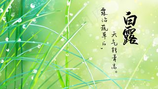 二十四节气24节气白露草地露珠露水