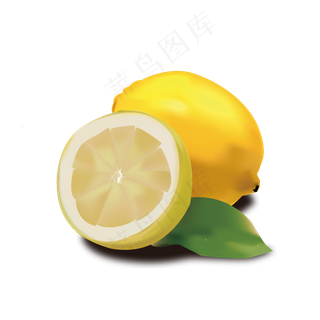 矢量逼真写实柠檬