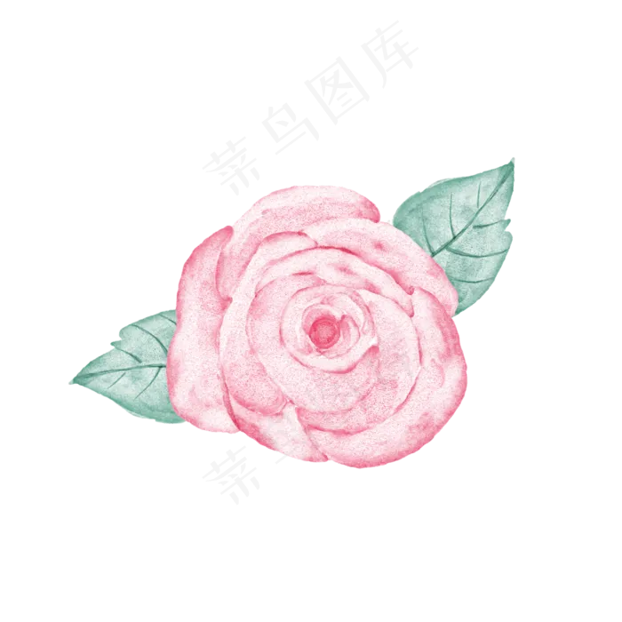 手绘水彩红色玫瑰花(2000X2000(DPI:300))psd模版下载